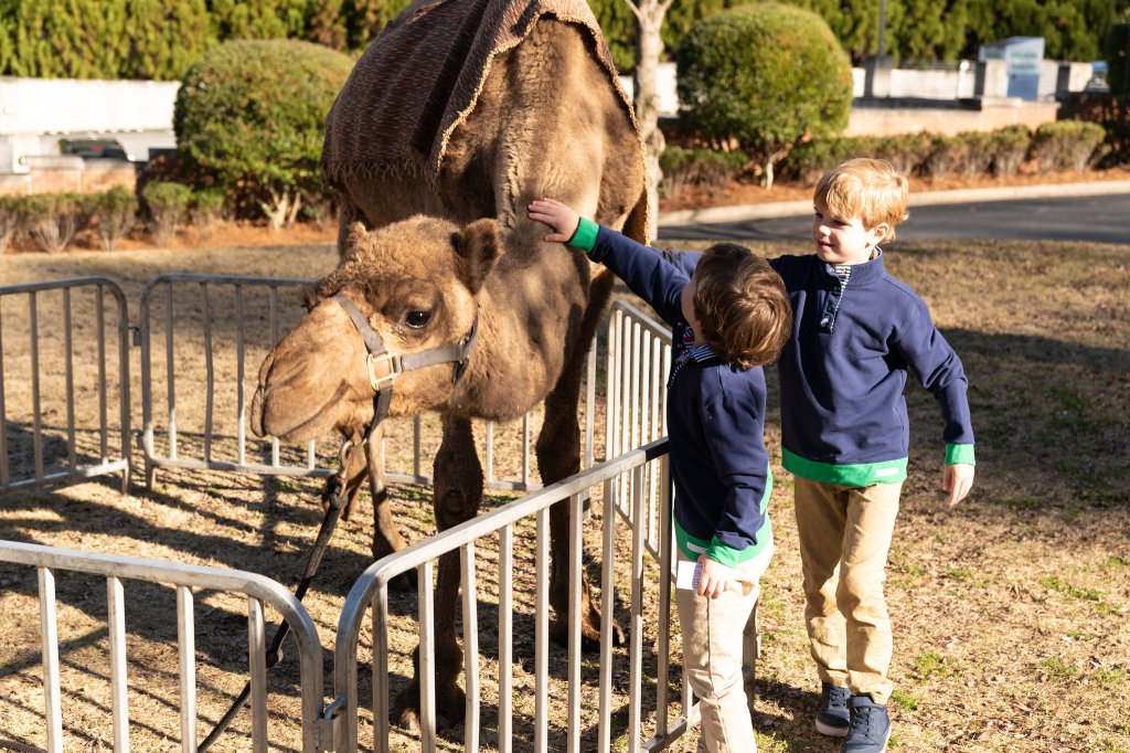 two children petting a camel.